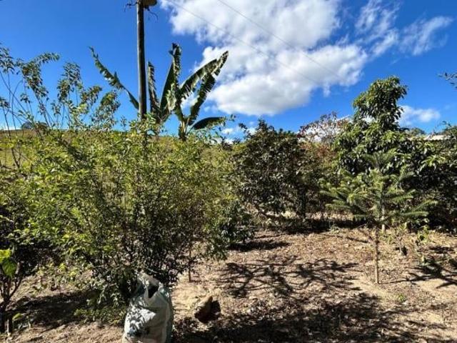 Sítio e chácara venda em Região Geográfica Imediata de Oliveira, Passa Tempo