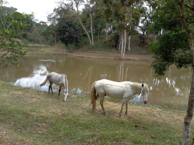 Sítio e chácara venda em Região Imediata de Registro, Miracatu