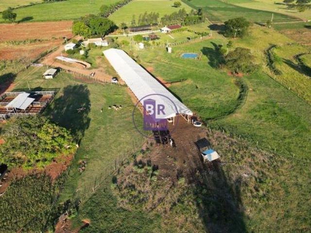 Sítio e chácara venda em Região Geográfica Imediata de Londrina, Jaguapita