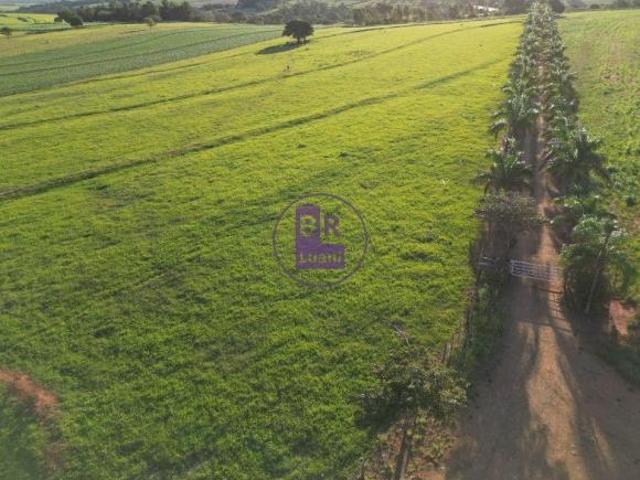 Sítio e chácara venda em Região Geográfica Imediata de Londrina, Jaguapita