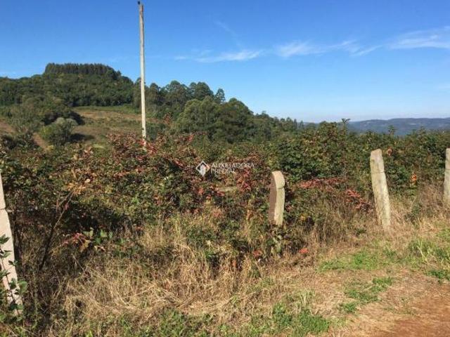 Sítio e chácara venda em Região Geográfica Imediata de Caxias do Sul, Campestre da Serra