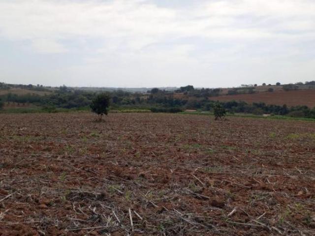 Sítio e chácara venda em Região Imediata de Campinas, Região Metropolitana de Campinas
