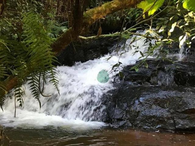 Sítio e chácara venda em Região Imediata de Taubaté-Pindamonhangaba, Região Metropolitana do Vale do Paraíba e Litoral Norte