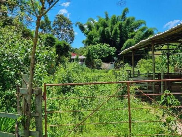 Sítio e chácara venda em Região Geográfica Imediata de Oliveira, Passa Tempo