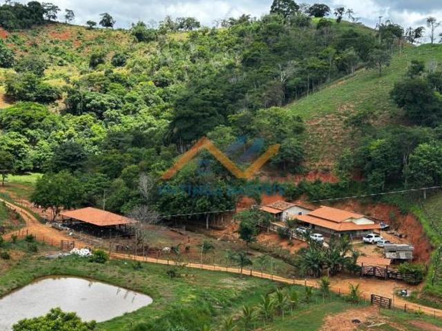 Sítio e chácara venda em Região Geográfica Imediata de Caratinga, Córrego Novo