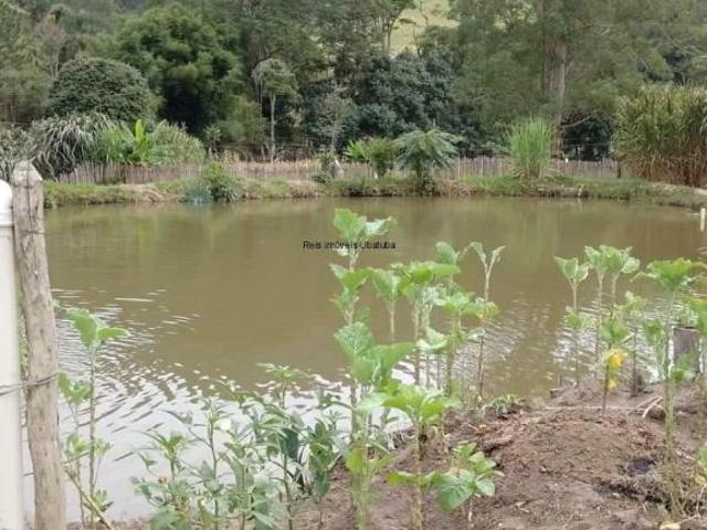 Sítio e chácara venda em Região Imediata de Taubaté-Pindamonhangaba, Região Metropolitana do Vale do Paraíba e Litoral Norte