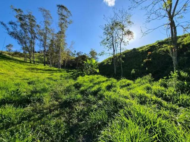 Sítio e chácara venda em Santo Antônio do Pinhal, Região Geográfica Intermediária de São José dos Campos