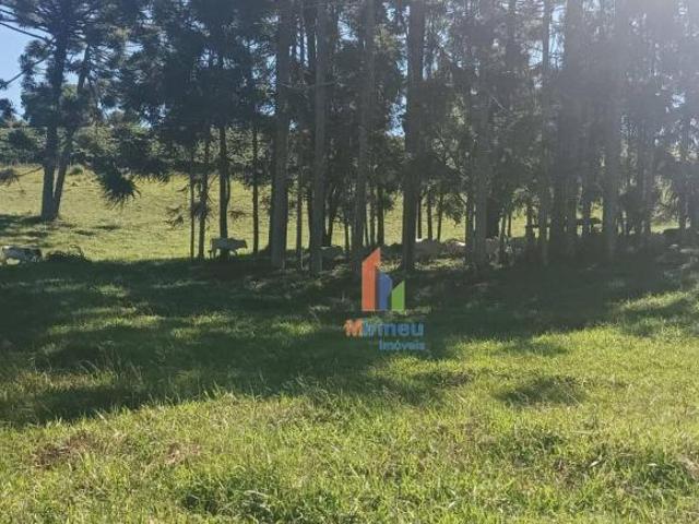 Sítio e chácara venda em Região Geográfica Imediata de Pouso Alegre, Ouro Fino