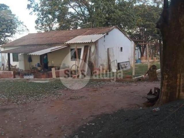 Sítio e chácara venda em Região Imediata de Campinas, Região Metropolitana de Campinas