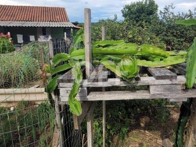 Sítio e chácara venda em Região Imediata de Campinas, Região Metropolitana de Campinas