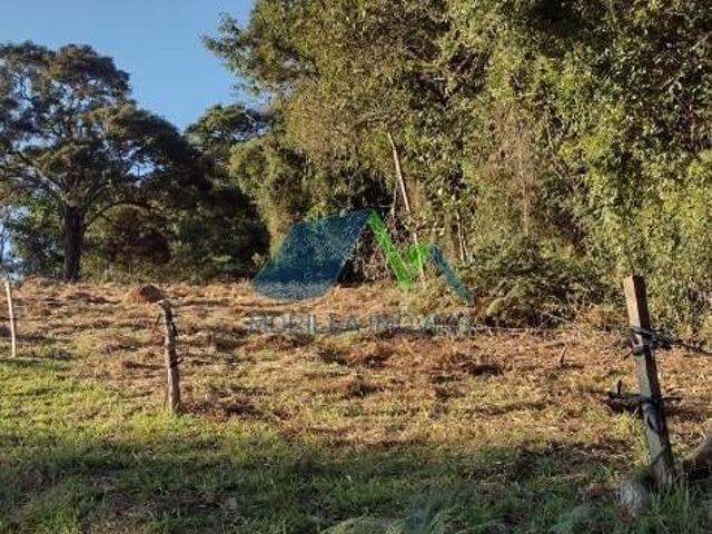 Sítio e chácara venda em Cambuí, Região Geográfica Intermediária de Pouso Alegre