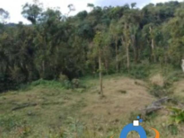 Sítio e chácara venda em Região Geográfica Imediata de Curitiba, Região Metropolitana de Curitiba
