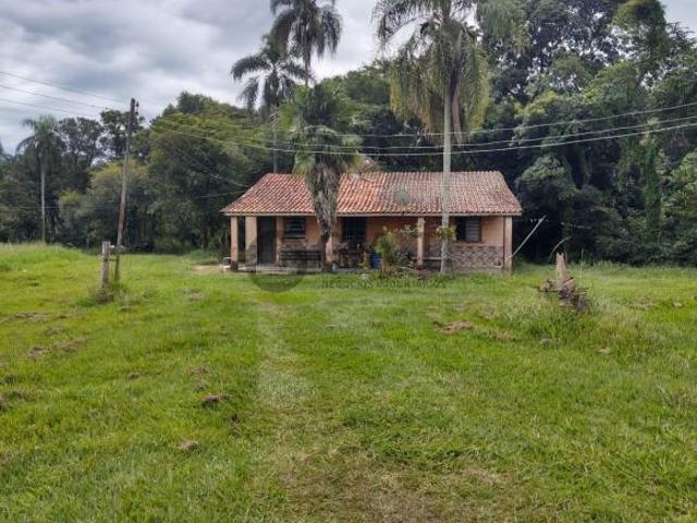 Sítio e chácara venda em Porto, Capela do Alto