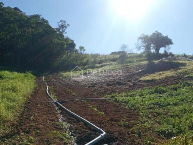 Sítio e chácara venda em Região Imediata de Sorocaba, Região Metropolitana de Sorocaba