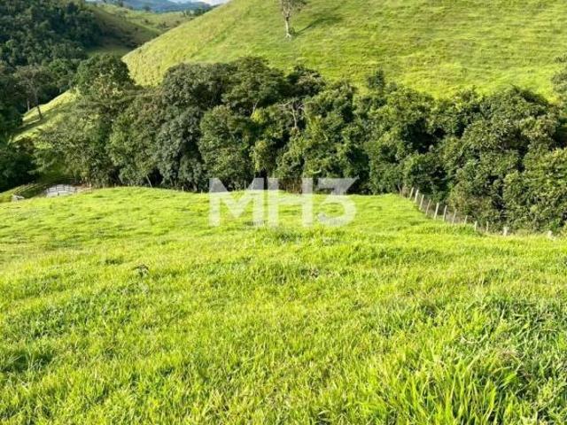 Sítio e chácara venda em Região Geográfica Imediata de Pouso Alegre, Monte Sião