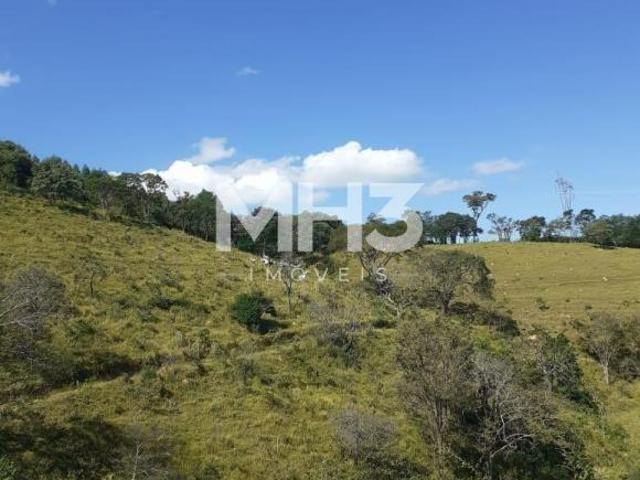 Sítio e chácara venda em Centro, Serra Negra