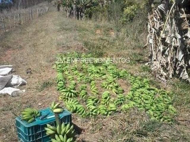 Sítio e chácara venda em Região Imediata de São José do Rio Pardo-Mococa, Caconde