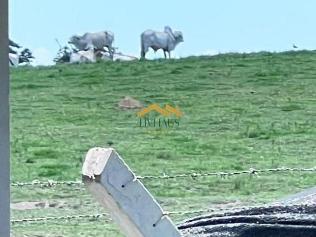 Sítio e chácara venda em Região Imediata de Sorocaba, Região Metropolitana de Sorocaba