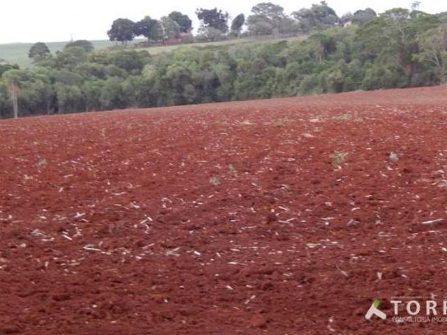 Sítio e chácara venda em Cesário Lange, Cesario Lange