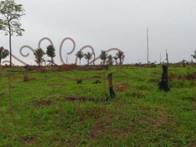 Sítio e chácara venda em Vilhena