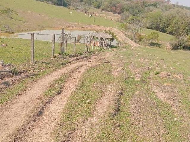 Sítio e chácara venda em Conchas