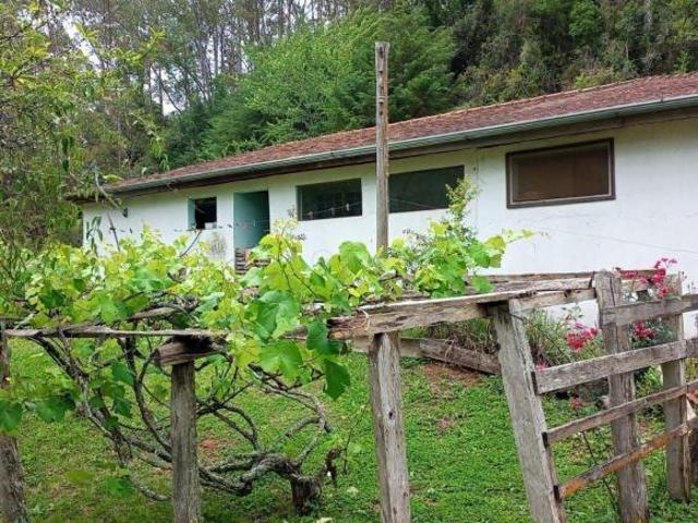 Sítio e chácara venda em Cunha