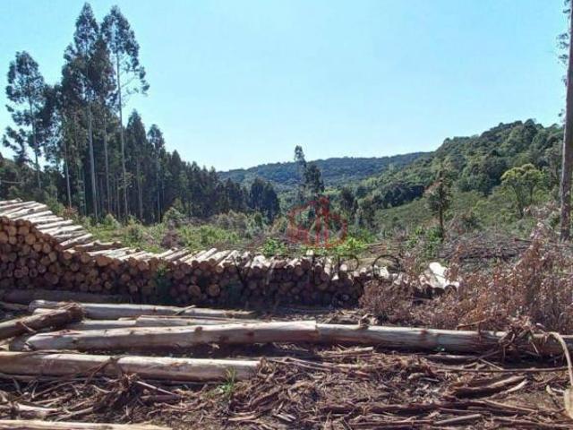 Sítio e chácara venda em Região Geográfica Imediata de Caxias do Sul, Gramado
