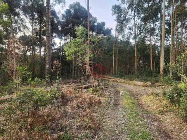 Sítio e chácara venda em Região Geográfica Imediata de Caxias do Sul, Gramado