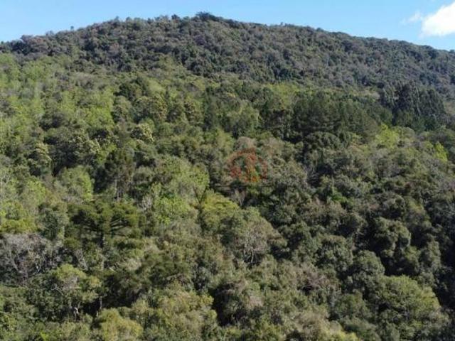 Sítio e chácara venda em Gramado, Região Geográfica Intermediária de Caxias do Sul