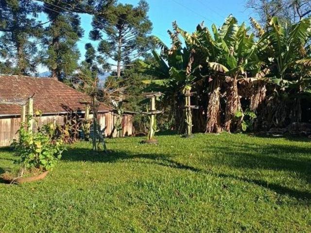Sítio e chácara venda em Quilombo, Três Coroas