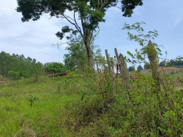 Sítio e chácara venda em Região Geográfica Imediata de Guaxupé, Guaxupé