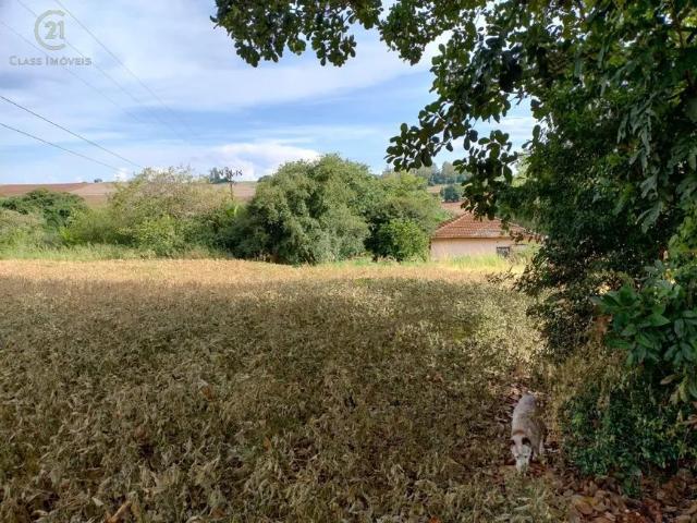 Fazenda venda em Região Geográfica Imediata de Londrina, Ibiporã