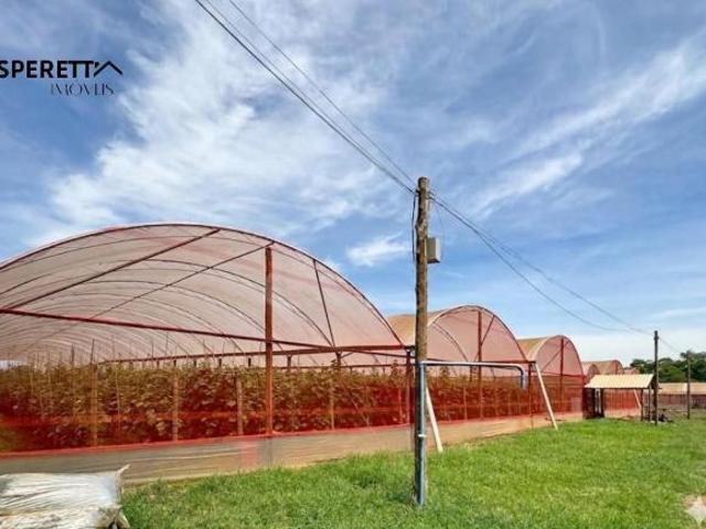 Sítio e chácara venda em Região Imediata de Araraquara, Itápolis