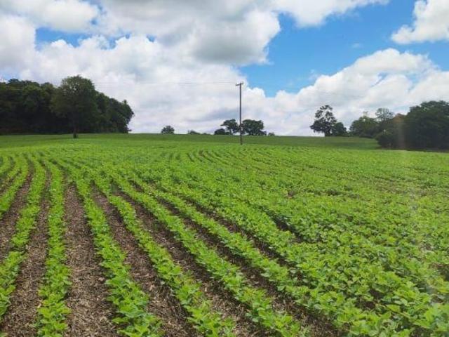 Sítio e chácara venda em Região Imediata de Itapeva, Itararé