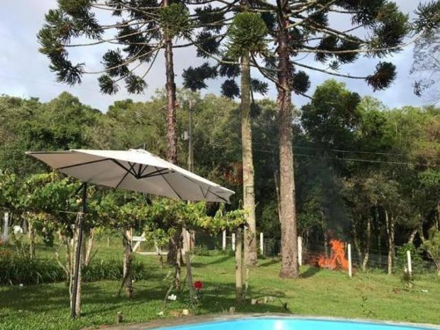 Sítio e chácara venda em Região Geográfica Imediata de Vacaria, Jaquirana