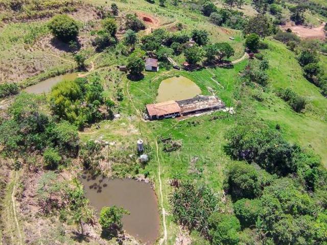 Sítio e chácara venda em Joanópolis, Região Geográfica Intermediária de Campinas