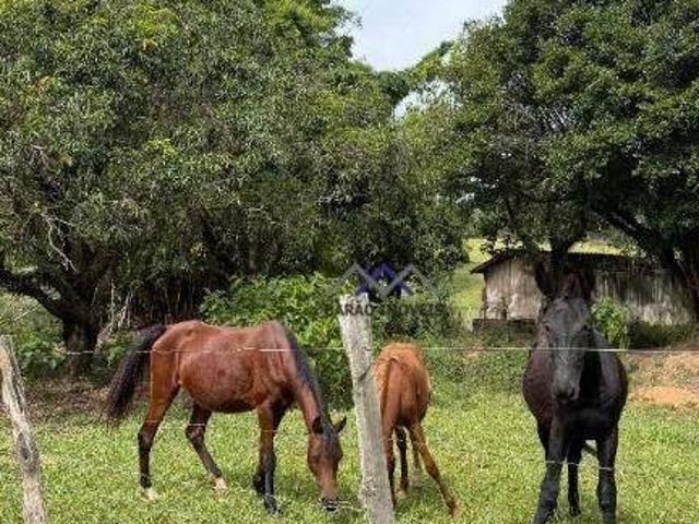 Sítio e chácara venda em Região Imediata de Jundiaí, Jundiaí