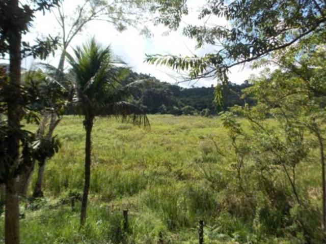 Sítio e chácara venda em Barnabés, Juquitiba