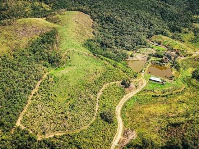 Sítio e chácara venda em Juquiá, Juquia