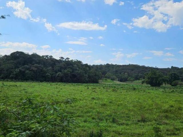 Sítio e chácara venda em Juquiá