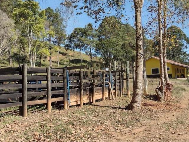 Sítio e chácara venda em Região Norte