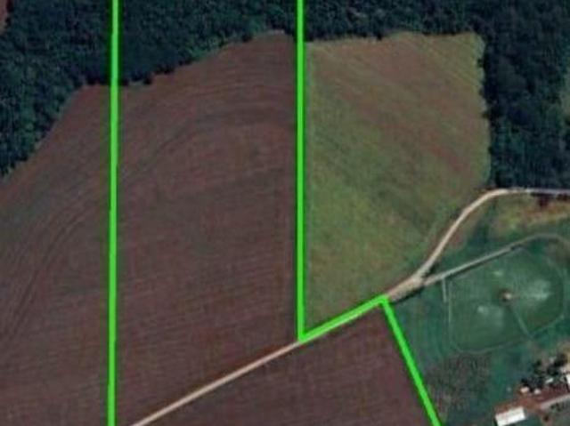 Sítio e chácara venda em Região Geográfica Imediata de Londrina, Londrina