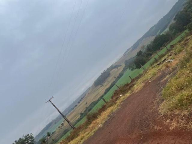 Sítio e chácara venda em Região Geográfica Imediata de Londrina, Londrina
