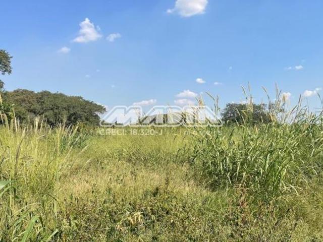 Sítio e chácara venda em Região Imediata de Campinas, Região Metropolitana de Campinas
