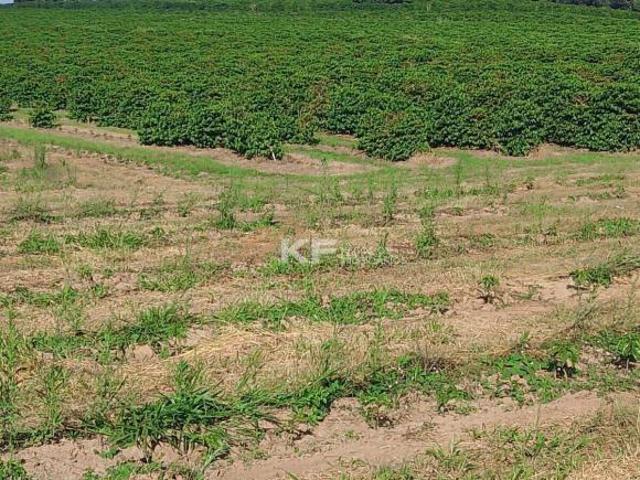 Sítio e chácara venda em Monte Santo de Minas, Região Geográfica Intermediária de Varginha