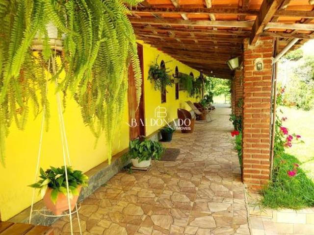 Sítio e chácara venda em Munhoz, Minas Gerais