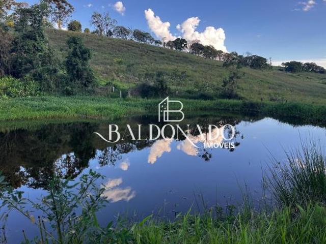 Sítio e chácara venda em Munhoz