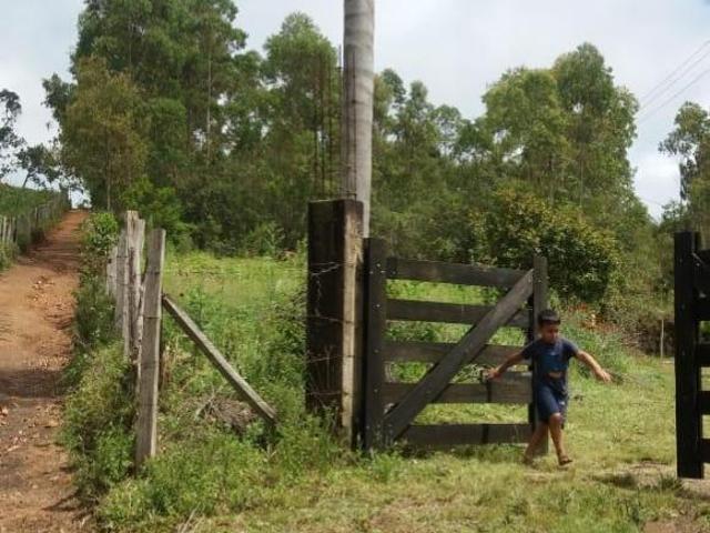 Sítio e chácara venda em Região Geográfica Imediata de Pouso Alegre, Munhoz