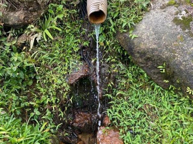 Sítio e chácara venda em Região Geográfica Imediata de Brusque, Nova Trento