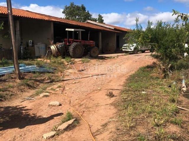 Sítio e chácara venda em Região Imediata de Campinas, Região Metropolitana de Campinas